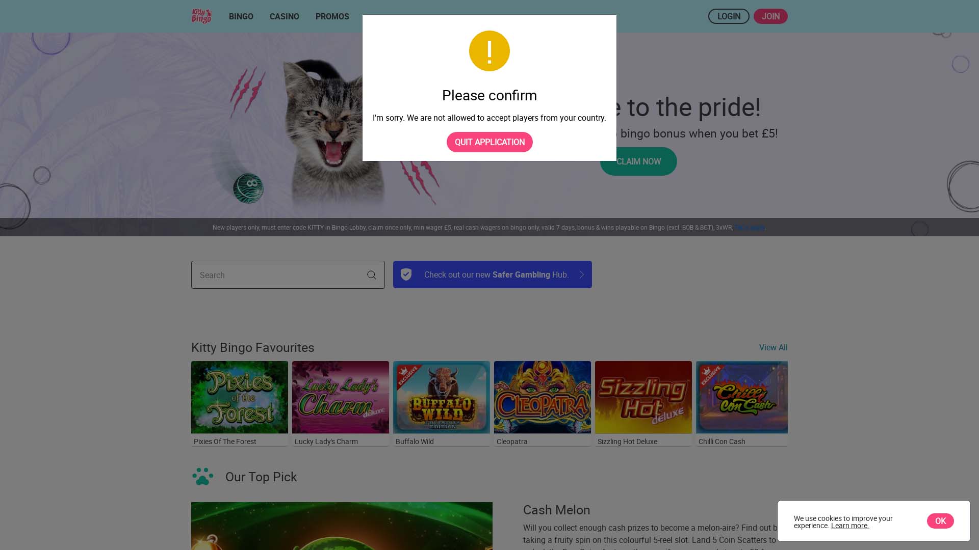 Screenshot of Kitty Bingo taken in 2025