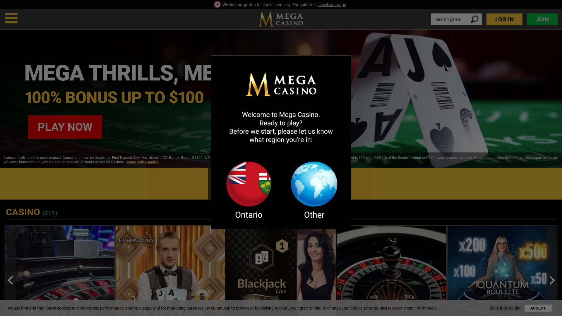 Screenshot of Mega Casino taken in 2025