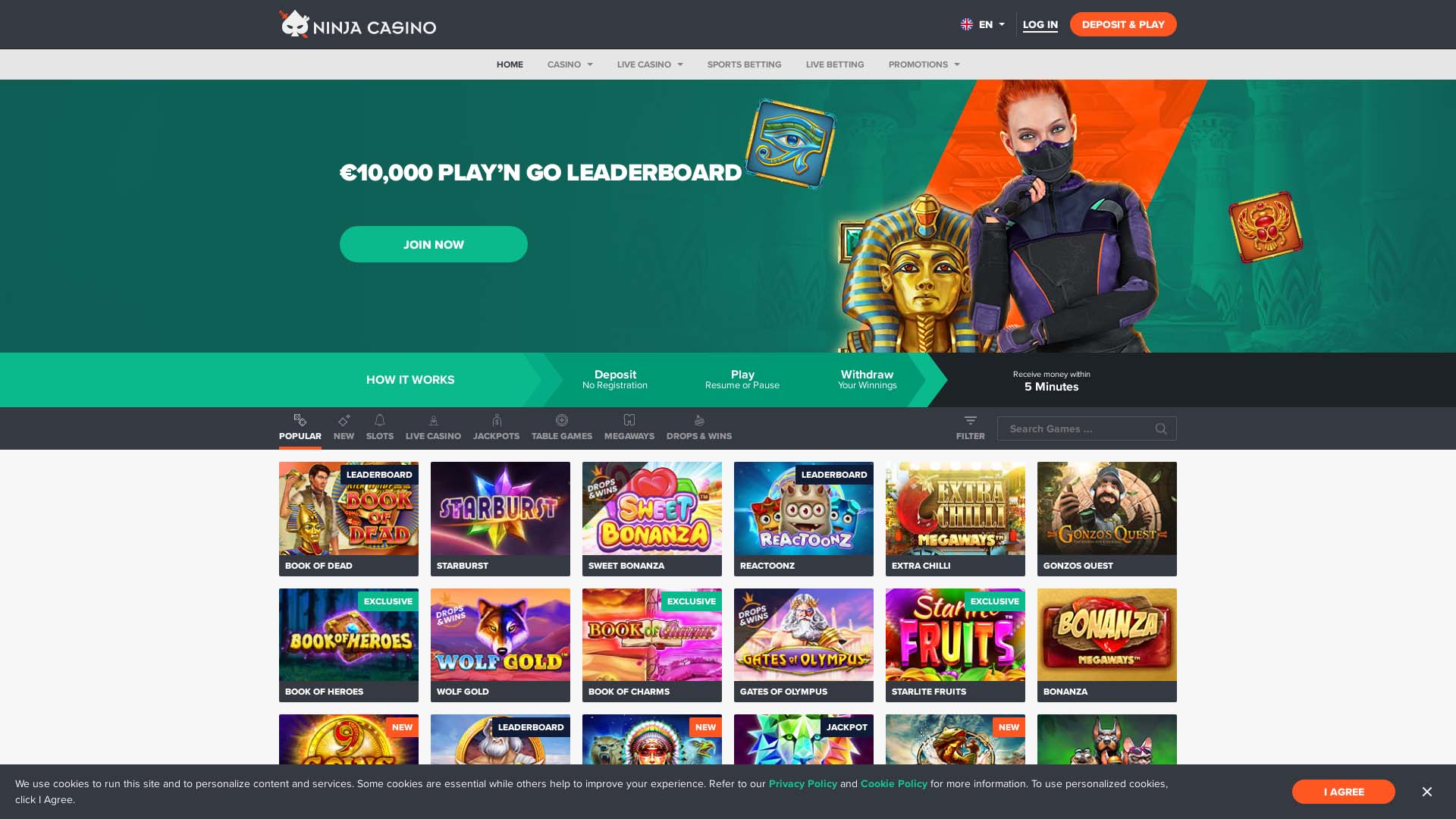 Screenshot of Ninja Casino taken in 2025